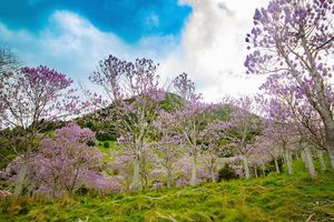 Image post by @kawkawkins on Instagram