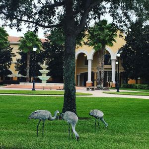 Image post by @rosencollege on Instagram