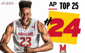 Image post by @terrapinhoops on Instagram