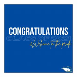 Image post by @hofstradanceteam on Instagram