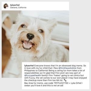 Image post by @yourfuzzy on Instagram