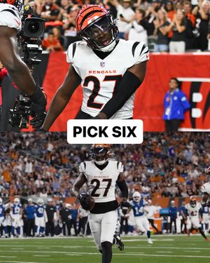 Image post by @bengals on Instagram