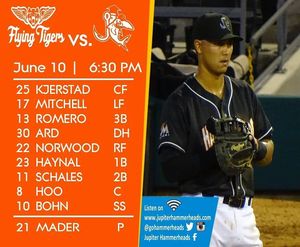 Image post by @gohammerheads on Instagram