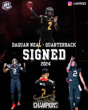 Image post by @panthersifl on Instagram
