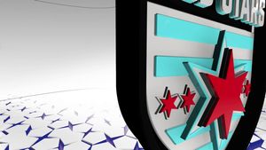 Image post by @nwsl on Twitter