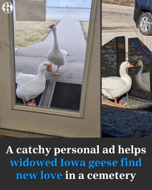Image post by @dmregister on Instagram