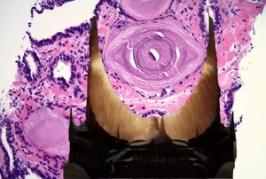 Image post by @vumcpathology on Instagram