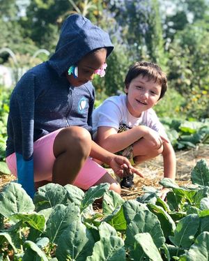 Image post by @farmcredit on Instagram