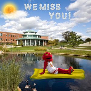 Image post by @umsl on Instagram