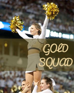 Image post by @gtcheerleading on Instagram