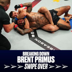 Image post by @pflmma on Instagram