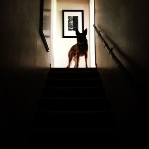 Image post by @rememberthe1 on Instagram