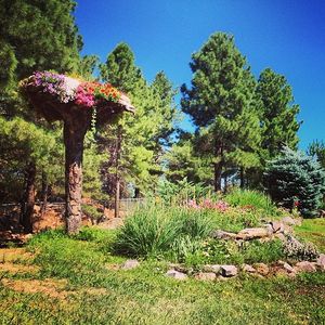 Image post by @nauflagstaff on Instagram