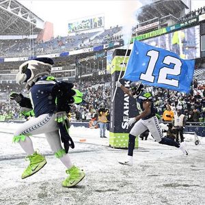 Image post by @blitztheseahawk on Instagram