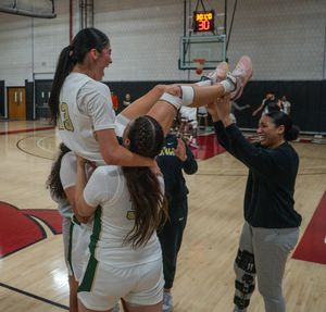 Image post by @bovadawg.visuals on Instagram