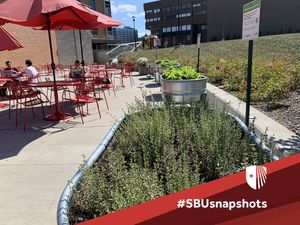 Image post by @stonybrooku on Instagram