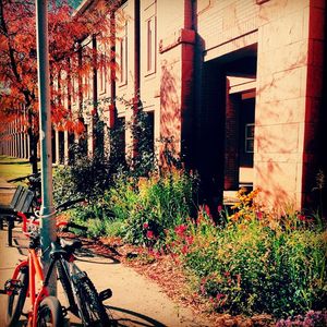 Image post by @nauflagstaff on Instagram