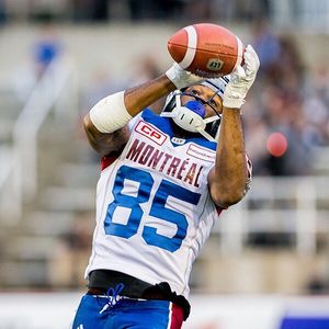 Image post by @mtlalouettes on Instagram