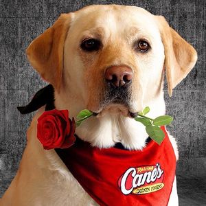 Image post by @raisingcanes on Instagram
