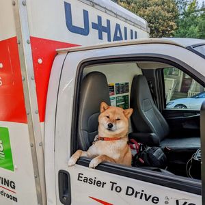 Image post by @uhaul on Instagram