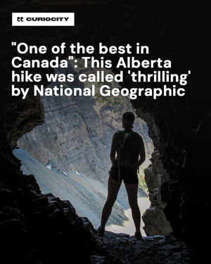 Image post by @curiocitycalgary on Instagram