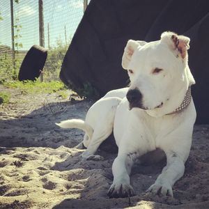 Image post by @manningsumner on Instagram