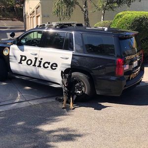 Image post by @vcsheriff on Instagram