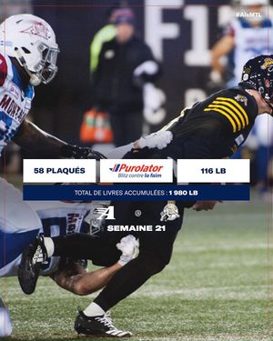 Image post by @mtlalouettes on Instagram