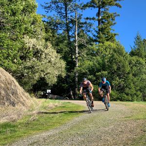 Image post by @bikerumor on Instagram