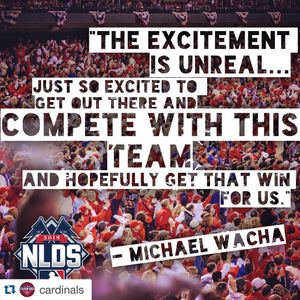 Image post by @springfield_cardinals on Instagram