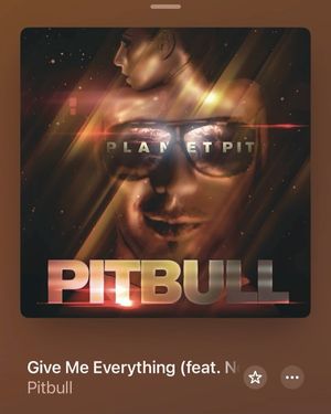 Image post by @pitbull on Instagram