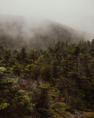 Image post by @ninamarie_creative on Instagram