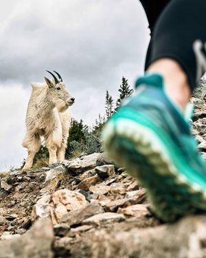 Image post by @saucony on Instagram