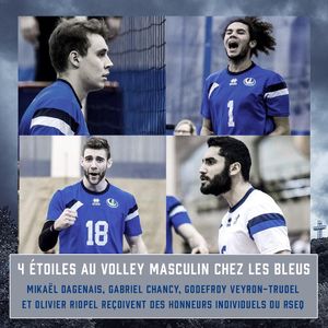 Image post by @carabins on Instagram