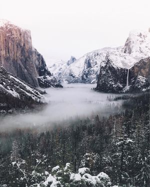 Image post by @sonyalpha on Instagram