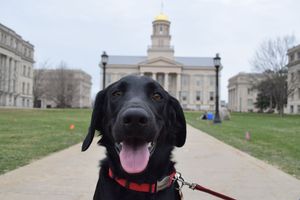 Image post by @iowaadmissions on Instagram