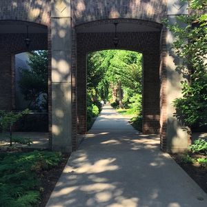 Image post by @hofstrau on Instagram