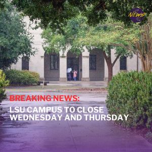 Image post by @lsutigertv on Instagram