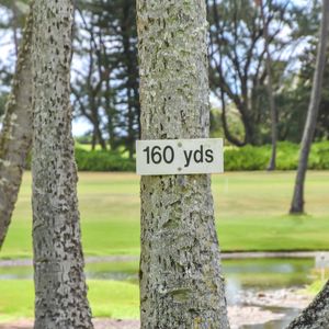 Image post by @pga on Instagram