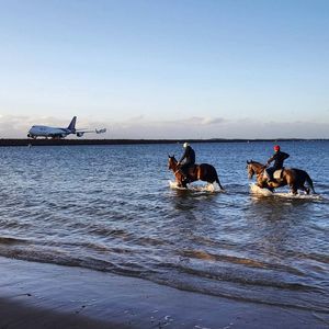 Image post by @australianturfclub on Instagram