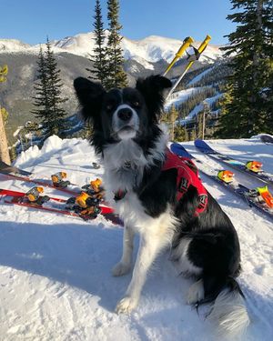 Image post by @winterparkresort on Instagram