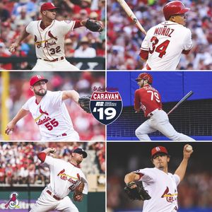 Image post by @springfield_cardinals on Instagram