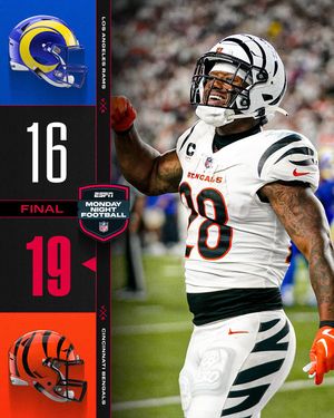 Image post by @nfl on Instagram