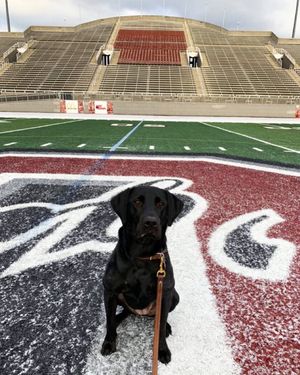 Image post by @colgatewlax on Instagram