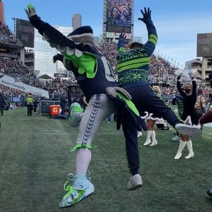 Image post by @blitztheseahawk on Instagram