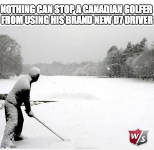 Image post by @wilsongolfcanada on Instagram