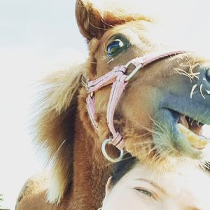Image post by @equine_passion_online on Instagram
