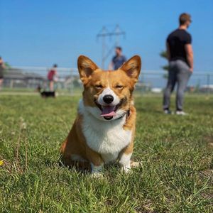 Image post by @fargoparks on Instagram