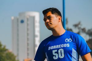 Image post by @borregostec on Instagram