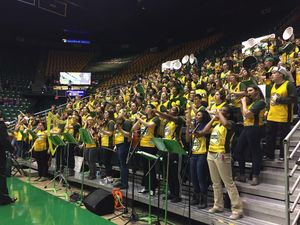 Image post by @gmugreenmachine on Instagram